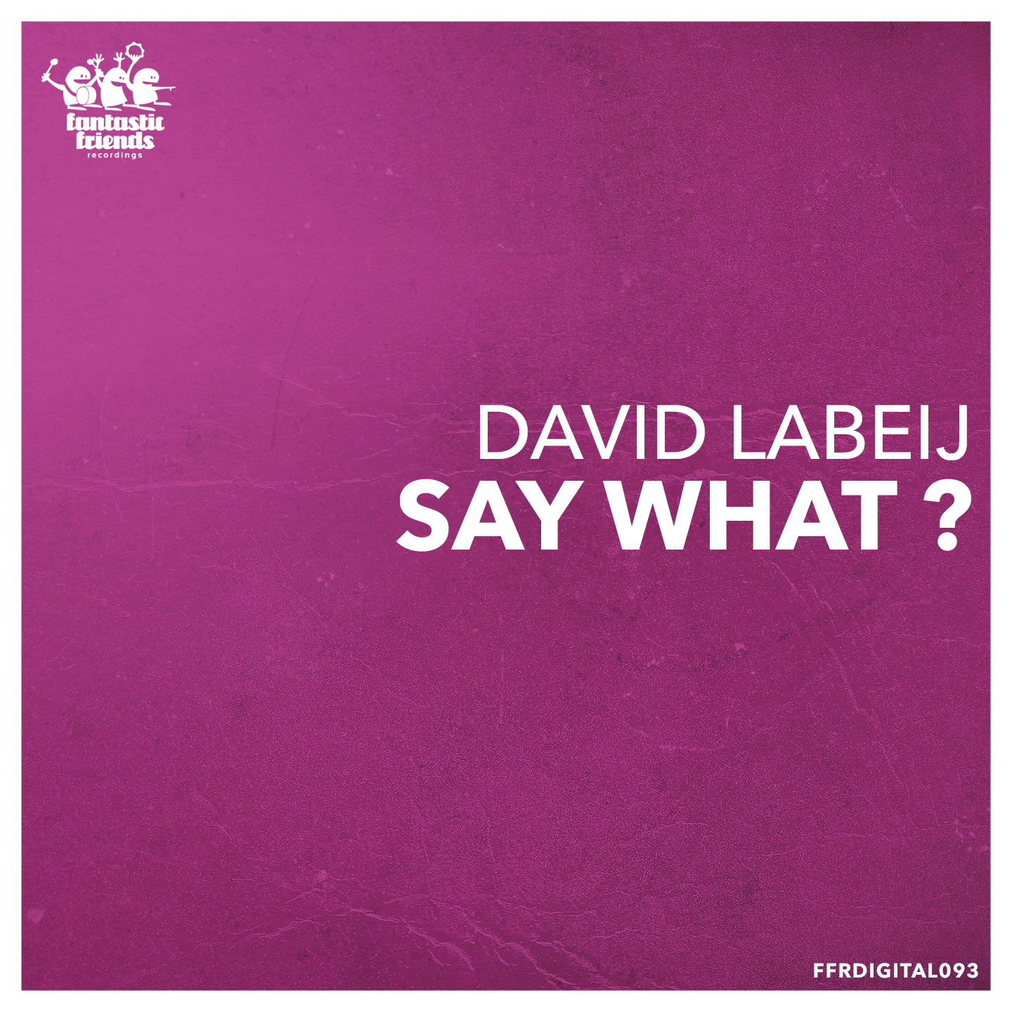 David Labeij - Say What ?